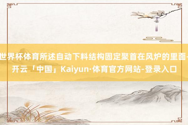 世界杯体育所述自动下料结构固定聚首在风炉的里面-开云「中国」Kaiyun·体育官方网站-登录入口