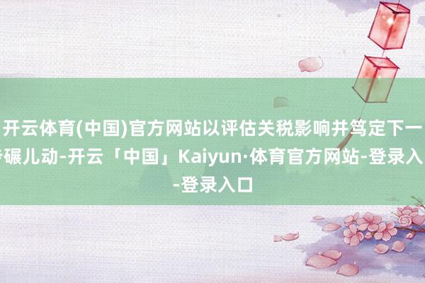 开云体育(中国)官方网站以评估关税影响并笃定下一步碾儿动-开云「中国」Kaiyun·体育官方网站-登录入口