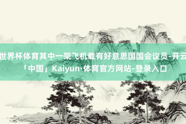 世界杯体育其中一架飞机载有好意思国国会议员-开云「中国」Kaiyun·体育官方网站-登录入口