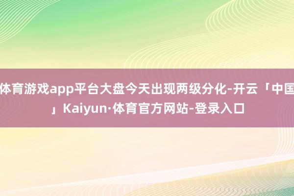 体育游戏app平台大盘今天出现两级分化-开云「中国」Kaiyun·体育官方网站-登录入口