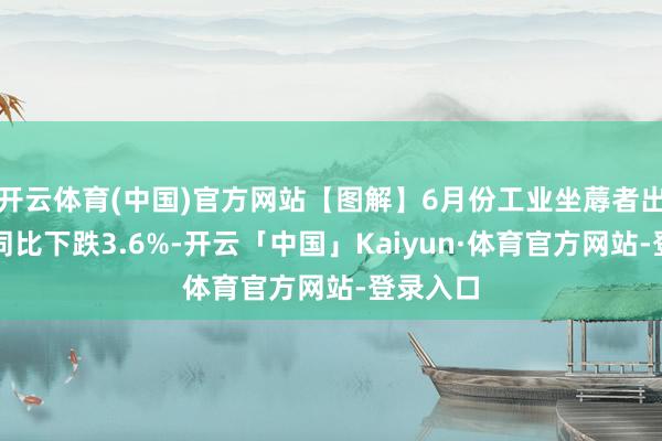 开云体育(中国)官方网站【图解】6月份工业坐蓐者出厂价钱同比下跌3.6%-开云「中国」Kaiyun·体育官方网站-登录入口