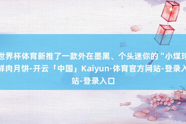 世界杯体育新推了一款外在墨黑、个头迷你的“小煤球”鲜肉月饼-开云「中国」Kaiyun·体育官方网站-登录入口